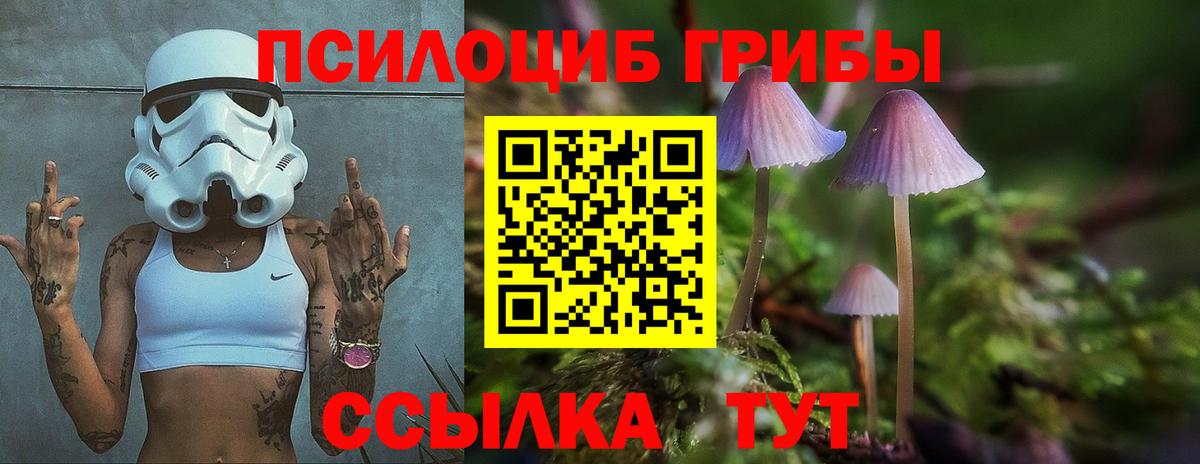 Галлюциногенные грибы прущие грибы Ухта